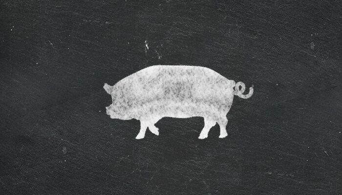 pig2